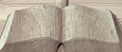 Livestream møderne fra vinterlejr