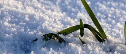 Nyt Livs blad nr. 3-2017 er udkommet