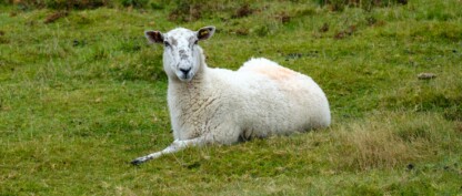 Ingen fordømmelse i Kristus Jesus